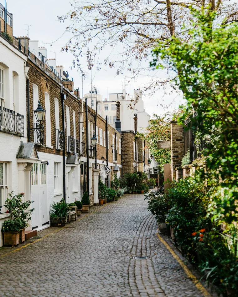 A row of London houses on a residential street